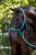 229766_Anwendungsbild__3230422_caf9.jpg