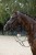 230241_Anwendungsbild__3230193_20d9.jpg