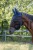 229752_Anwendungsbild__3230232_bc0a.jpg