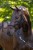 229769_Anwendungsbild__3230222_9f9e.jpg