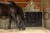 239404_Application_image__3230533_9a8e.jpg