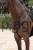229894_Anwendungsbild__3230214_cd23.jpg