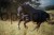 229265_Anwendungsbild__3230225_6239.jpg