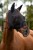 230451_Anwendungsbild__3230540_6401.jpg