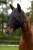 230452_Anwendungsbild__3230540_1fc8.jpg