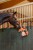 229960_Anwendungsbild__3230299_08d9.jpg