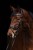 230900_Anwendungsbild__3230202_89fa.jpg