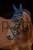 230161_Anwendungsbild__3230466_f1b2.jpg