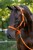229768_Anwendungsbild__3230428_482b.jpg