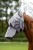 230447_Anwendungsbild__3230235_fcff.jpg