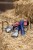 234529_Stimmungsbild__GT654_NB_7004.jpg