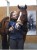 232280_Stimmungsbild__GT444_BS_7738.jpg