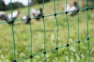 4419_Application_image_292276_525d.jpg