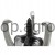 fda0eaed22af22db479a48adc47a6fed.jpg