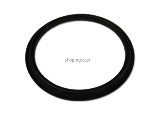 9ddb70a88a963546a576d76b67a6ec2c.jpg