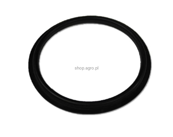 9ddb70a88a963546a576d76b67a6ec2c.jpg