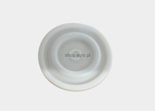 909020dd04fe41e6f8a5abe92e55d870.jpg