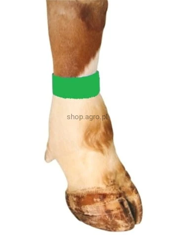aeea7c235080313dd5ad26ec9af9b856.jpg