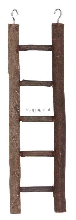 3702_11b6.jpeg