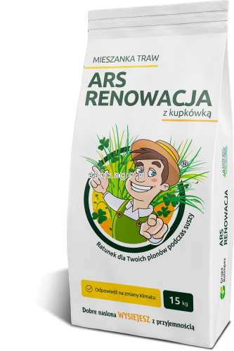 ars_bag_small_transparent_1409.png