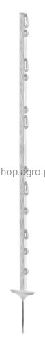 4412_3846.jpeg