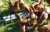 88357_75db.JPG