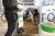 204764_Anwendungsbild__14678_de82.jpg