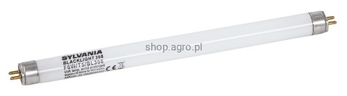 299812.j_66c9.jpg