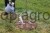 209559_Step_by_step__291172_1f9a.jpg