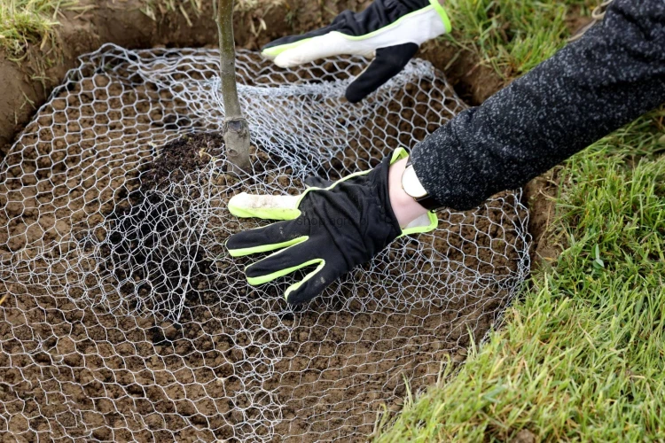 209566_Step_by_step__291172_e200.jpg