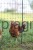 174359_Application_image__292420_03c6.jpg