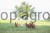 174357_Application_image__292420_21b4.jpg
