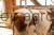 229932_Anwendungsbild__1155_f8c7.jpg