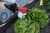 229758_Anwendungsbild__299761_0e5e.jpg
