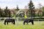 224776_Anwendungsbild__299135_82fd.jpg