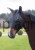 216521_Anwendungsbild__3229050_1143.jpg