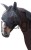 216522_Zusatzbild__3229050_8776.jpg