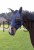 216520_Anwendungsbild__3229053_12bf.jpg