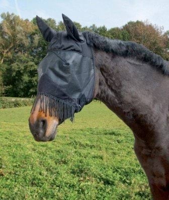 10112_e4d6.jpeg