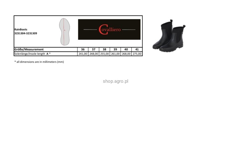 3231304_3231309_Ma__tabelle_RainBoots.pdf_5849.jpg