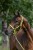 250563_Anwendungsbild_3232306_be77.jpg