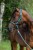 250565_Anwendungsbild_3232316_ee56.jpg