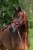 250564_Anwendungsbild_3232311_a04f.jpg