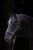 175670_Anwendungsbild__3224613_db41.jpg