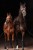 175653_Anwendungsbild__3224618_29a9.jpg