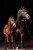 175654_Anwendungsbild__3224618_ca62.jpg