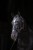 175674_Anwendungsbild__3224618_2fec.jpg