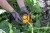 213606_Anwendungsbild__298036_b024.jpg