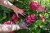 213841_Anwendungsbild__298056_f434.jpg