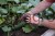 213836_Anwendungsbild__298056_c379.jpg